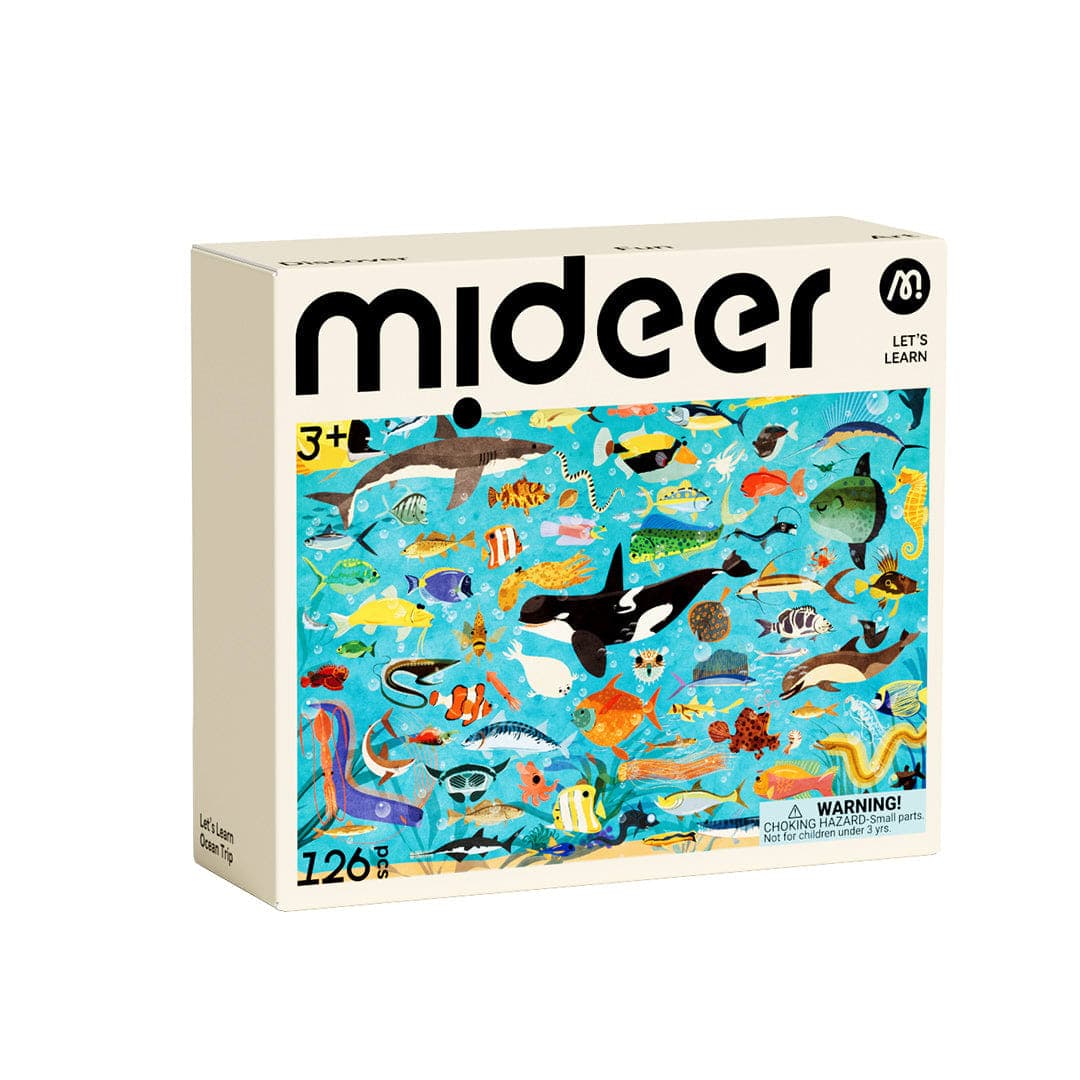 Mideer - Let's Learn - Ocean - View 1