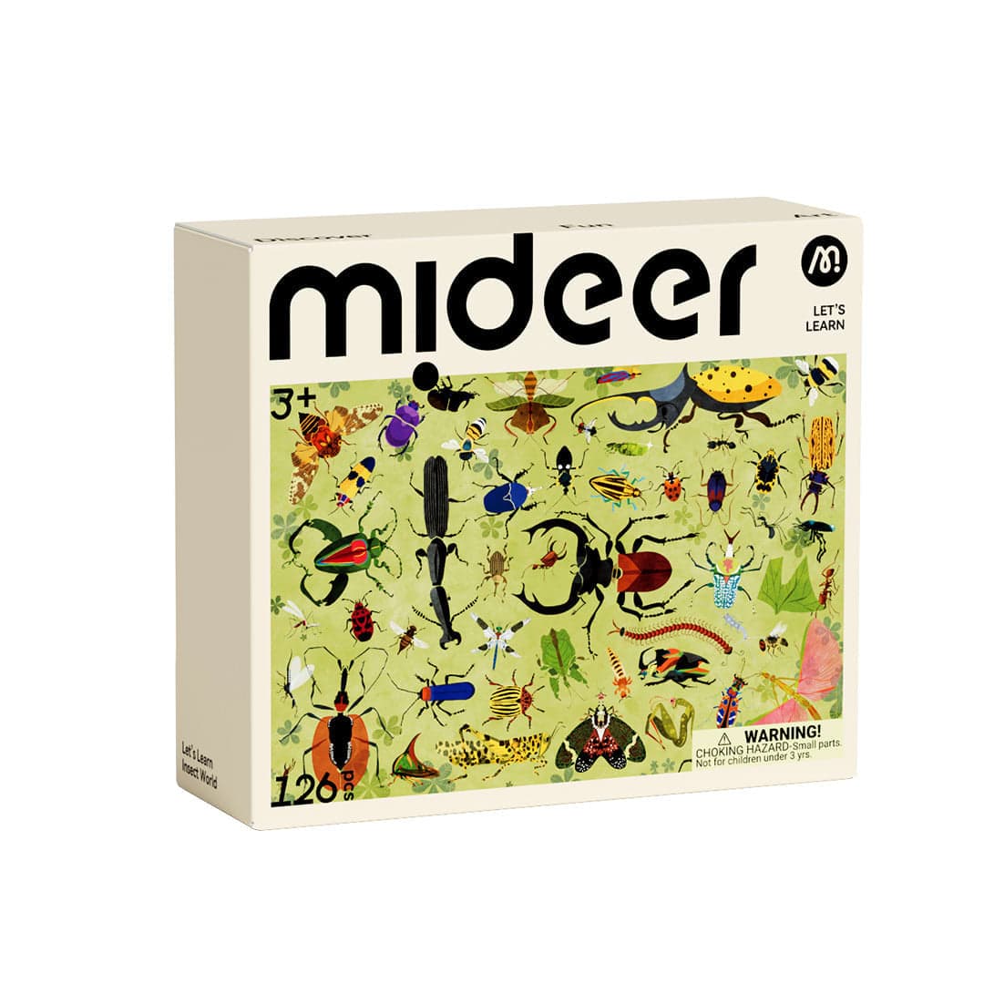 Mideer - Let's Learn - Insect World - View 1